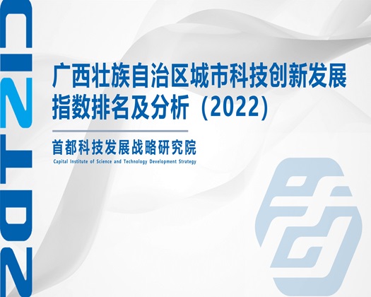 肏大屄精品【成果发布】广西壮族自治区城市科技创新发展指数排名及分析（2022）